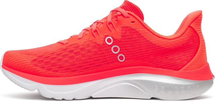 Saucony Kinvara 16 M Vizired Saucony