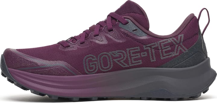 Saucony Women's Peregrine 16 GORE-TEX Eggplant/ebony Saucony