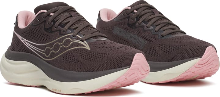 Saucony Women's Ride 19 Torte/eggshell Saucony