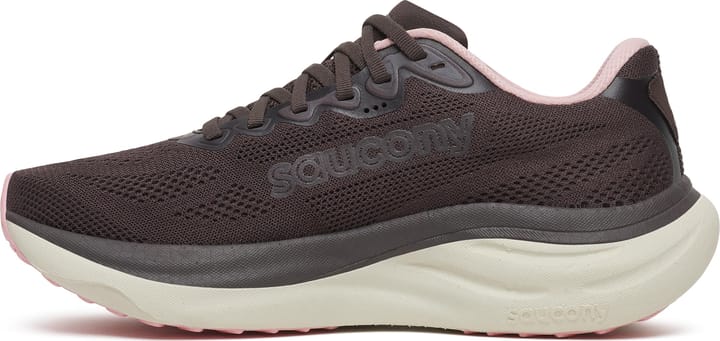 Saucony Women's Ride 19 Torte/eggshell Saucony