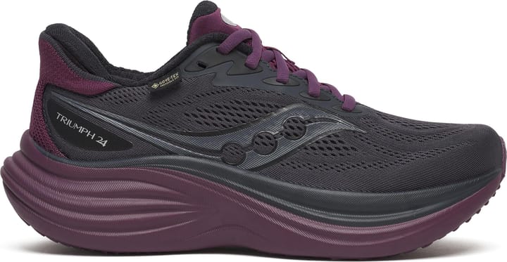 Saucony Women's Triumph 24 GORE-TEX Ebony/eggplant Saucony