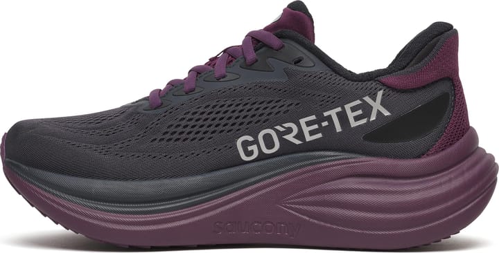 Saucony Women's Triumph 24 GORE-TEX Ebony/eggplant Saucony