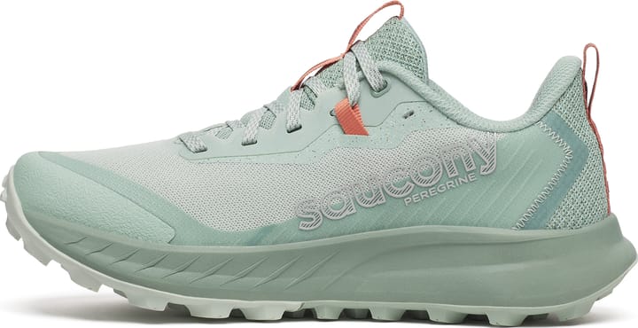 Saucony Women's Peregrine 15 Mist/aloe Saucony