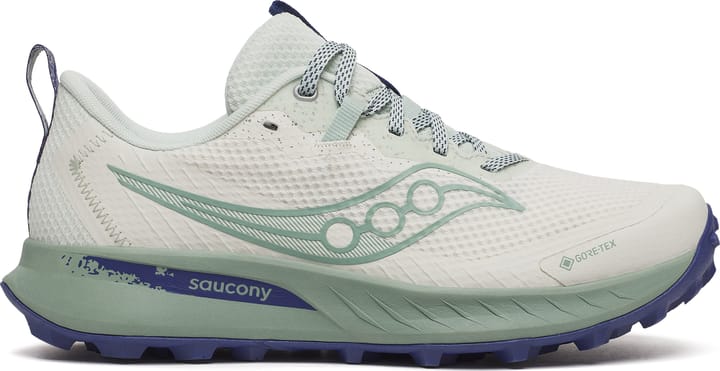 Saucony Women’s Peregrine 15 GORE-TEX Quartz/mist Saucony