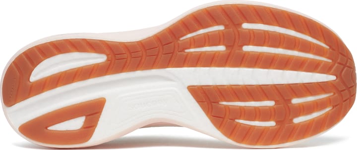 Saucony Women's Ride 18 Quartz/peony Saucony