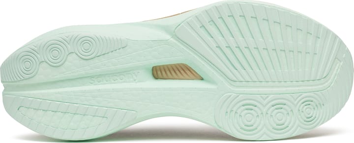 Saucony Women's Endorphin Speed 5 Black/calm Saucony