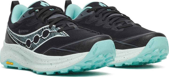 Saucony Women's Peregrine 16 GORE-TEX Black/aqua Saucony