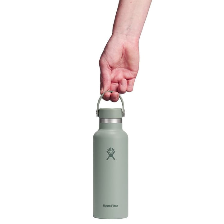 Hydro Flask 18 Oz Standard Flex Cap Agave Hydro Flask