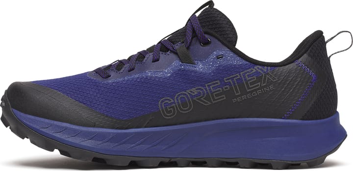 Saucony Men’s Peregrine 15 GORE-TEX Regal/Black Saucony