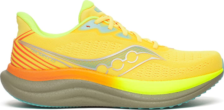 Saucony Men's Triumph 23 Vizigold/laurel Saucony