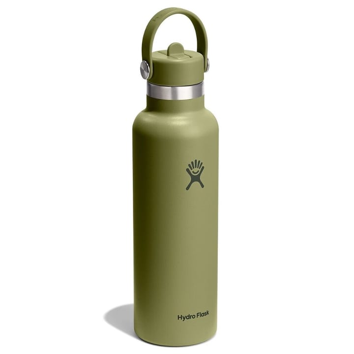 Hydro Flask 621ml Standard Flex Straw Cap Palmer Green Hydro Flask