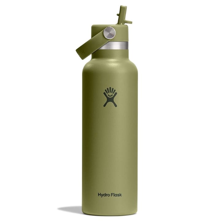 Hydro Flask 621ml Standard Flex Straw Cap Palmer Green Hydro Flask