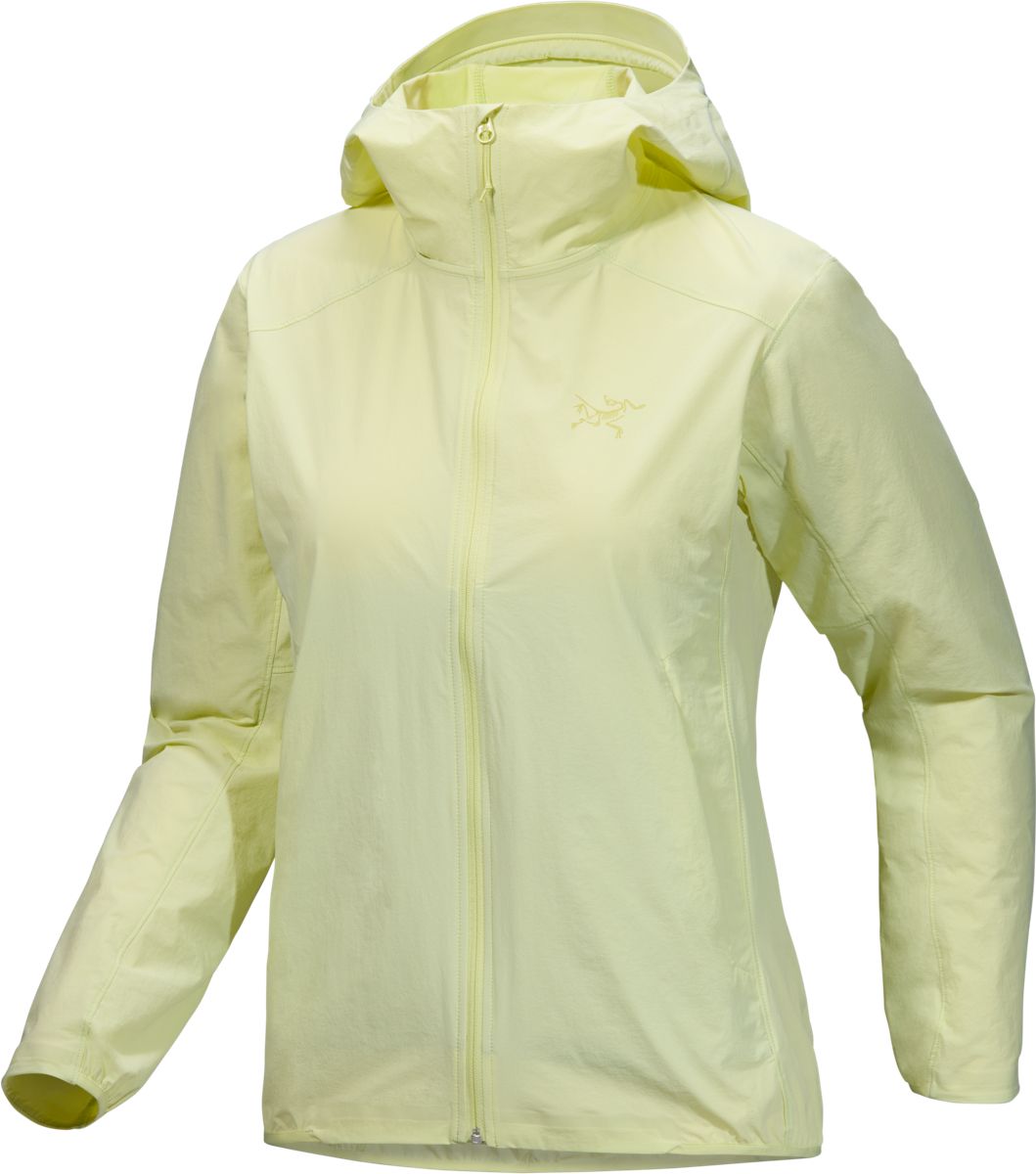 Arc'teryx Women's Gamma Lightweight Hoody Ray