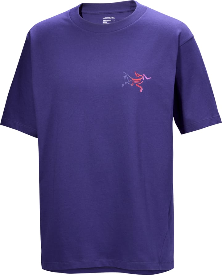Arc'teryx Men's Kragg Cotton Logo Shortsleeve Soulsonic / Dynasty Arc'teryx