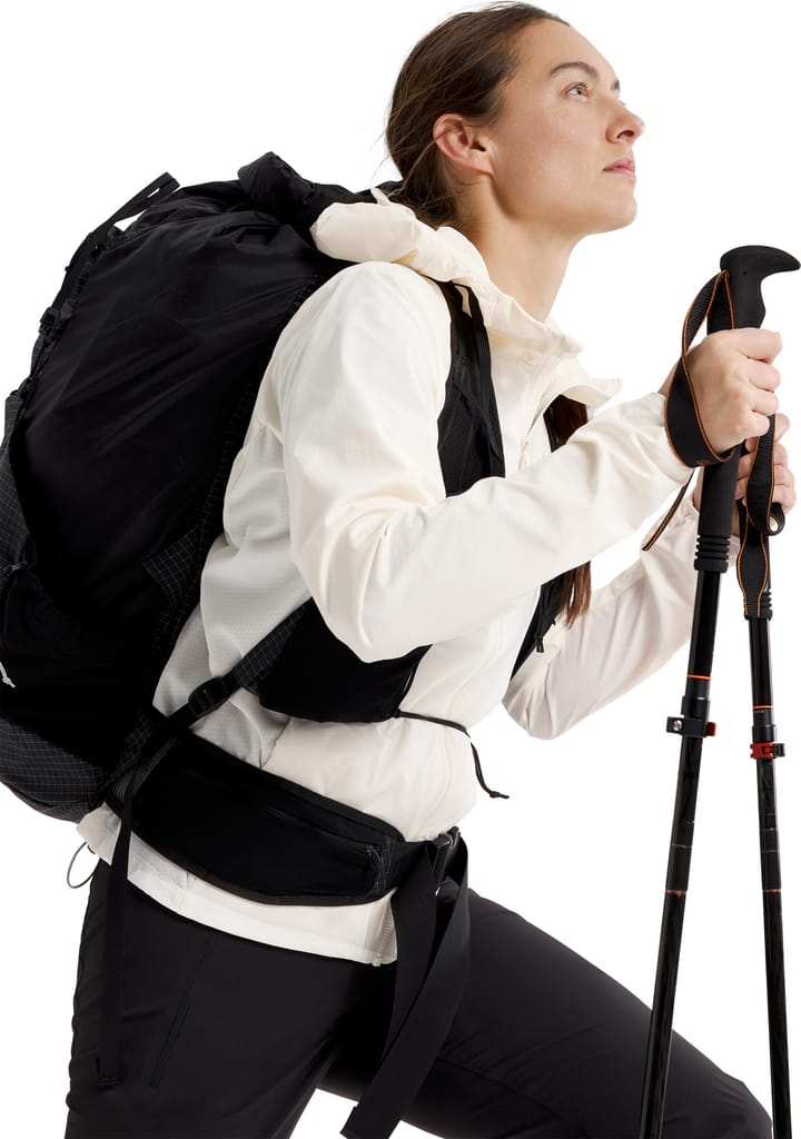 Arc'teryx Women's Atom SL Hoody Arctic Silk Arc'teryx