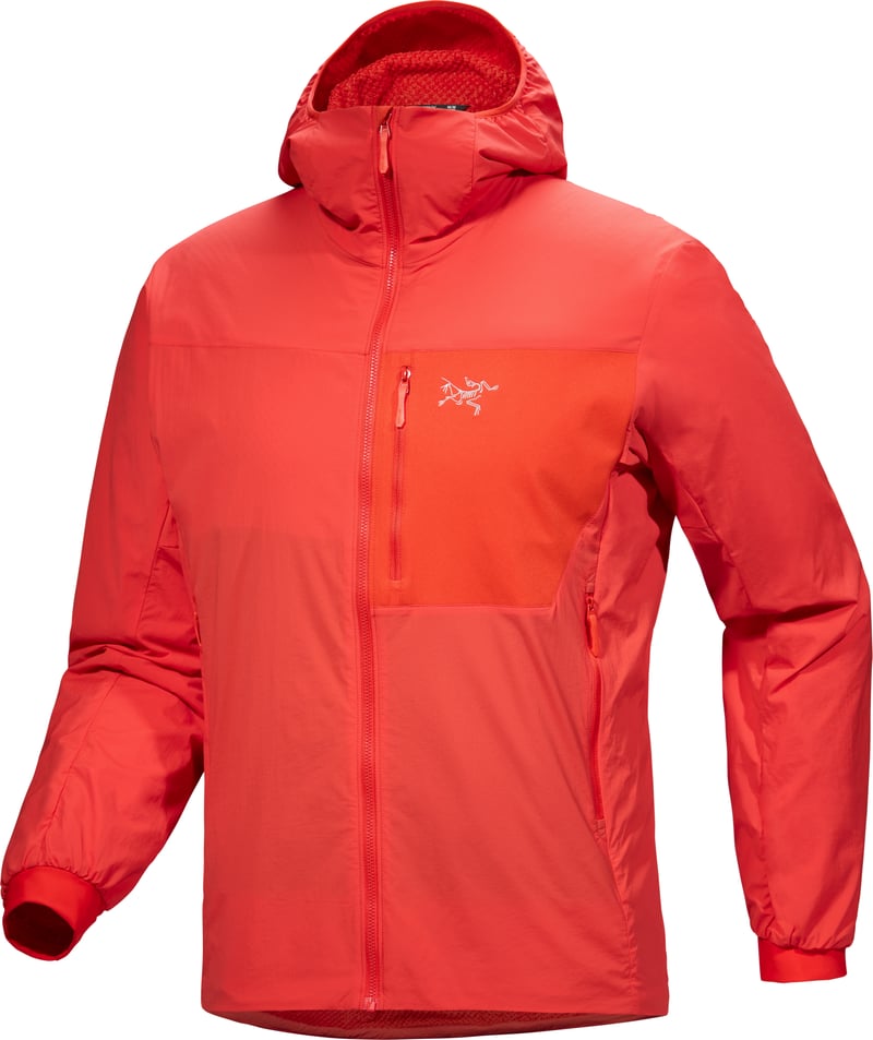 Arc'teryx Men's Proton SL Hoody Dynasty | Buy Arc'teryx Men's