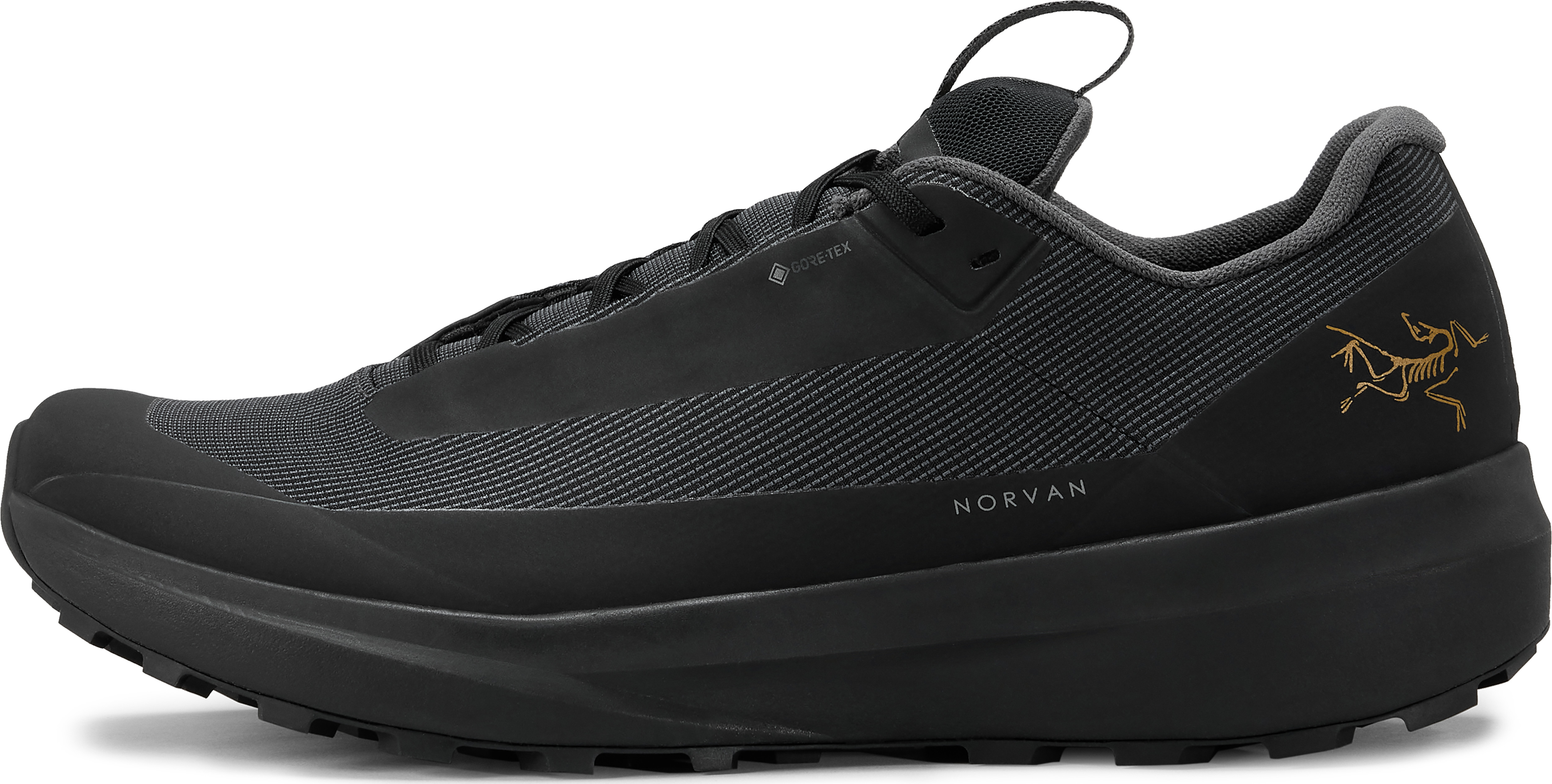 Arc'teryx Men's Norvan Ld 4 Gore-tex Black/black Juoksukengät 45 1/3
