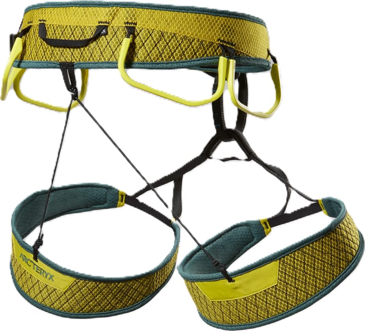 Arc'teryx Men's Skaha Harness Lampyre / Boxcar Arc'teryx