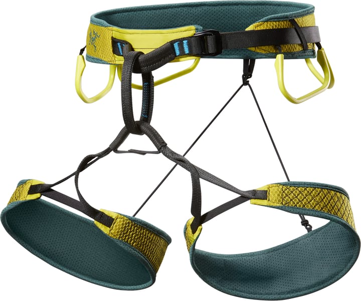 Arc'teryx Men's Skaha Harness Lampyre / Boxcar Arc'teryx