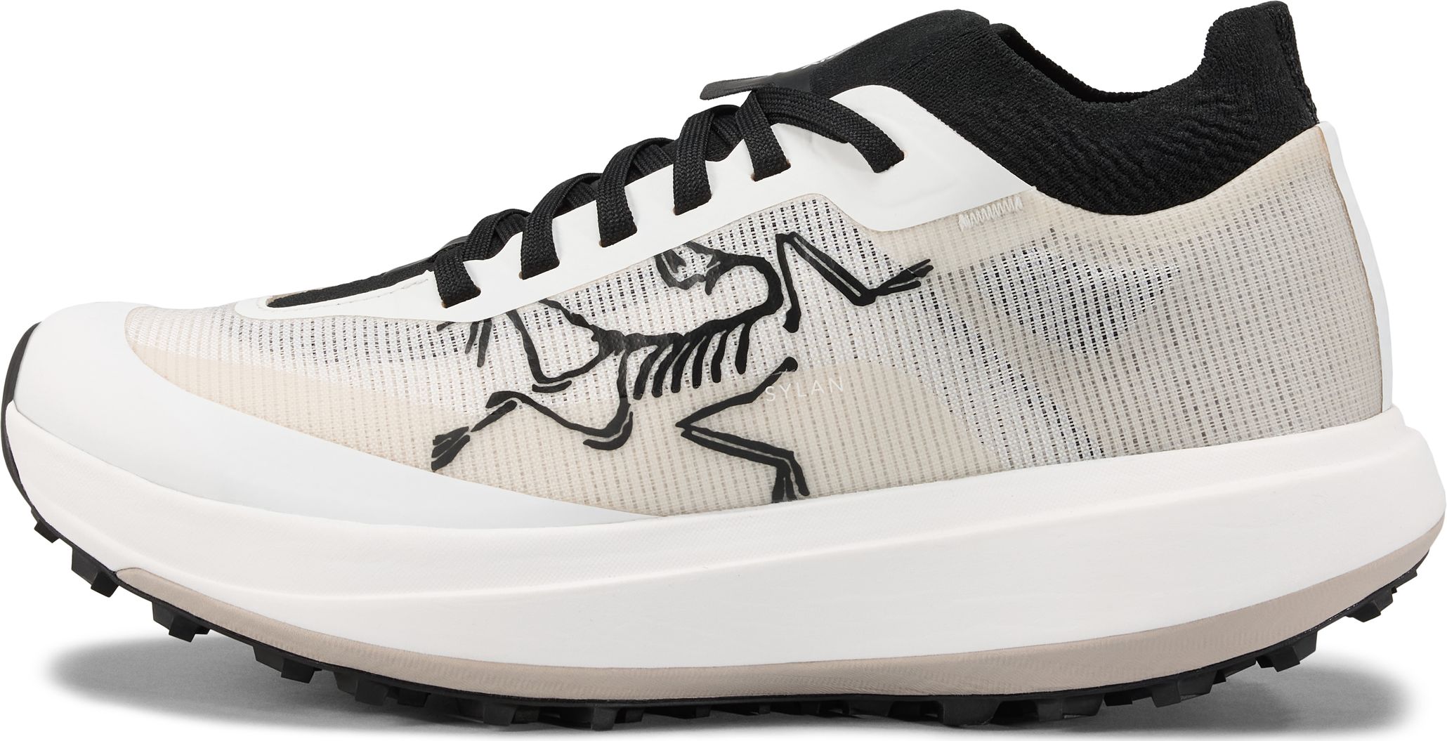Arc'teryx Women's Sylan Pro Arctic Silk/arctic Silk