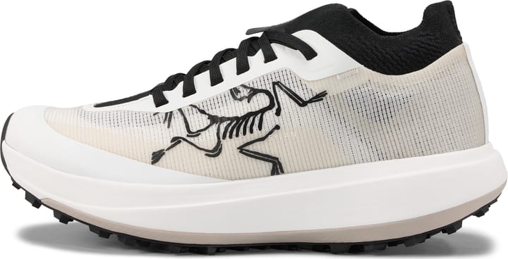 Arc'teryx Women's Sylan Pro Arctic Silk/arctic Silk Arc'teryx