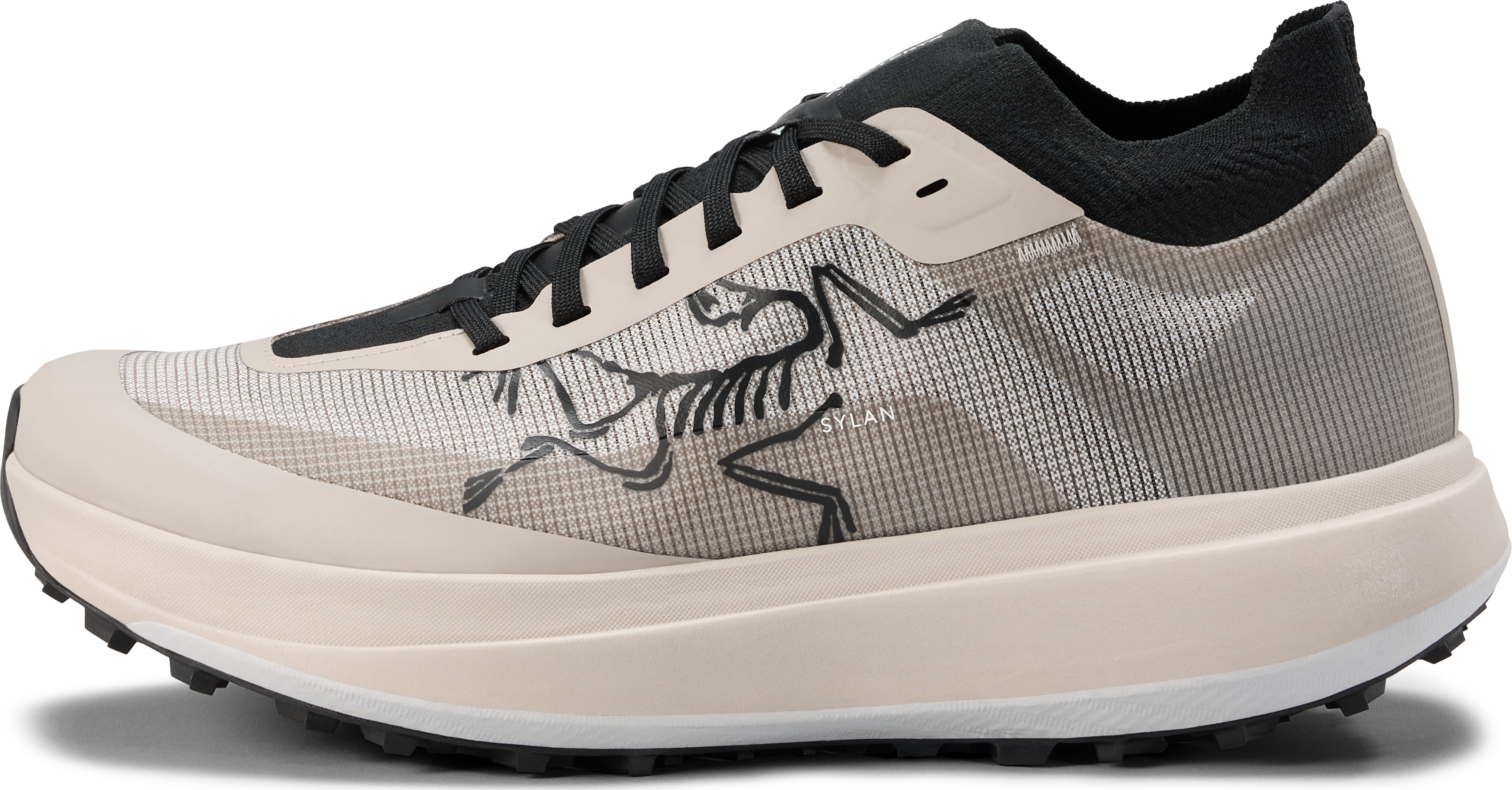 Arc'teryx Men's Sylan Pro Rune/rune Träningsskor 46 2/3