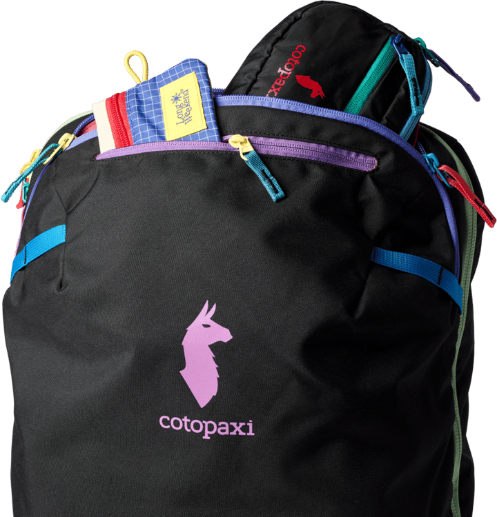 Cotopaxi Allpa 35L Travel Pack Del Día Dark Cotopaxi