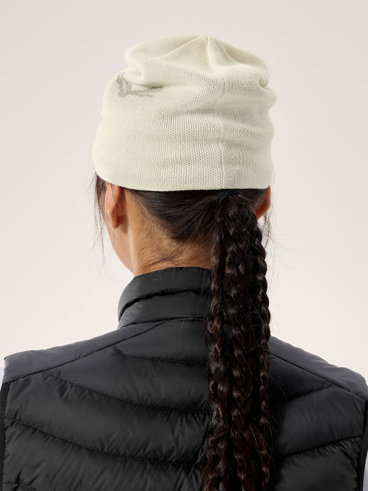 Arc'teryx Bird Head Toque Sea Salt / Habitat Arc'teryx