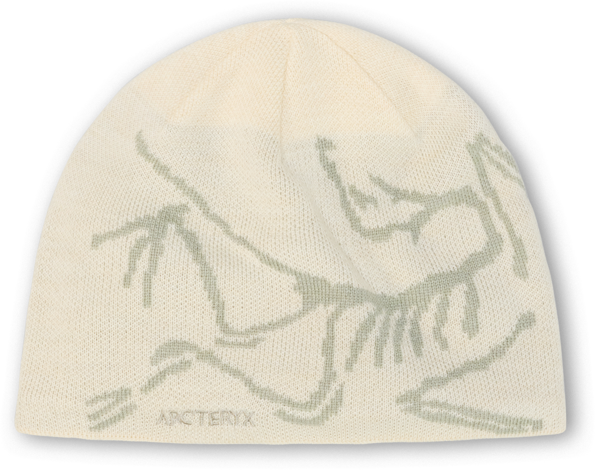 Arc'teryx Bird Head Toque