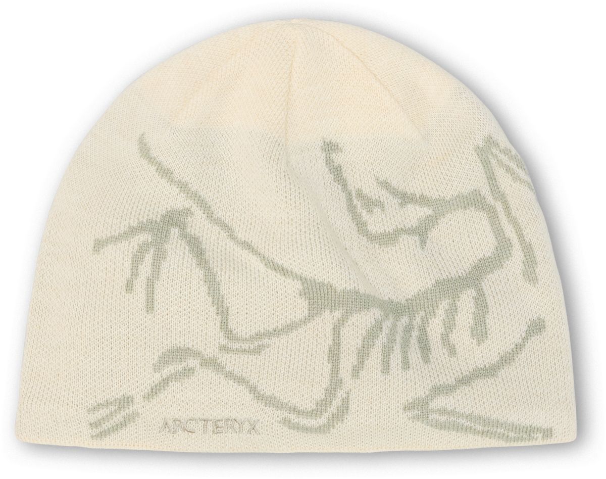 Arc'teryx Bird Head Toque Sea Salt / Habitat