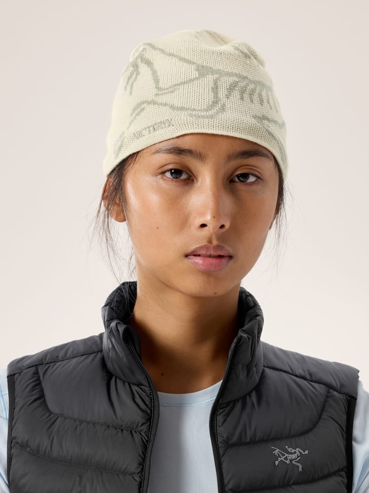 Arc'teryx Bird Head Toque Sea Salt / Habitat Arc'teryx