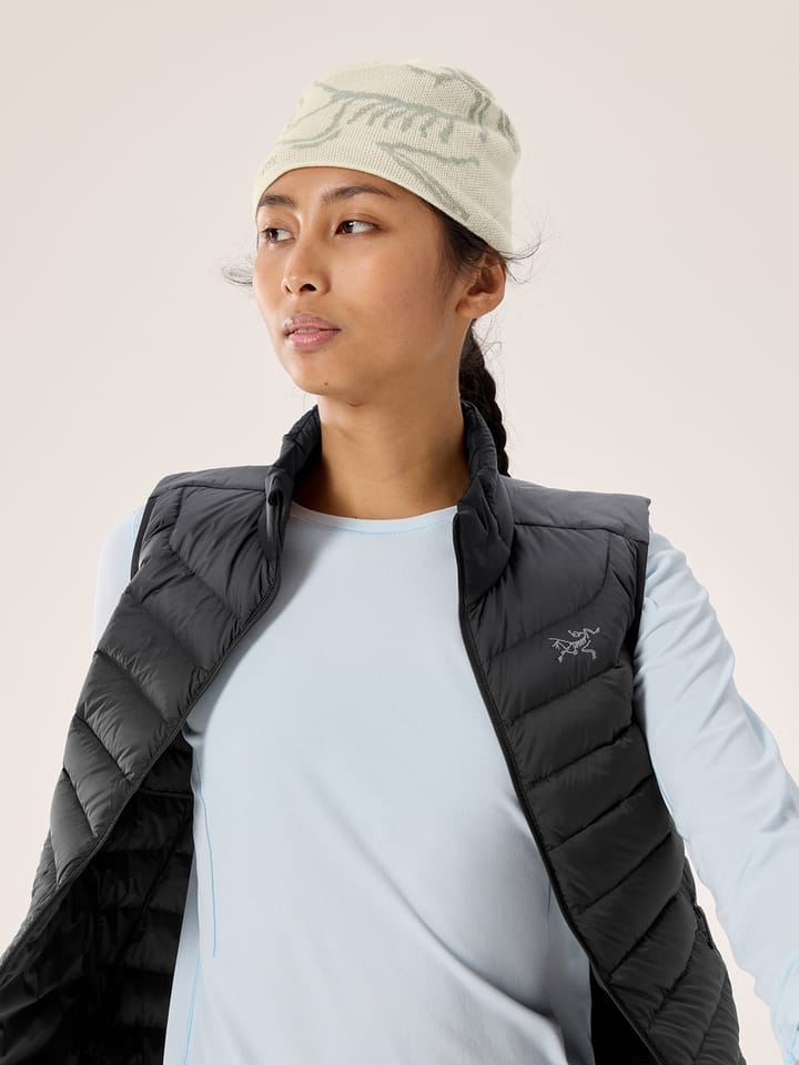 Arc'teryx Bird Head Toque Sea Salt / Habitat Arc'teryx