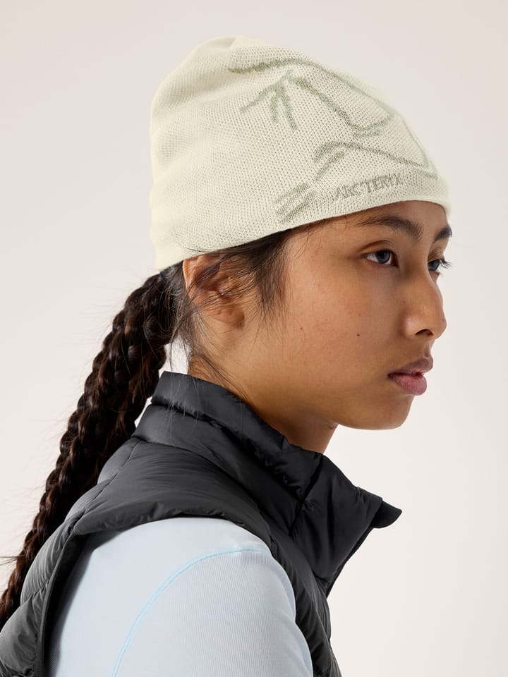 Arc'teryx Bird Head Toque Sea Salt / Habitat Arc'teryx