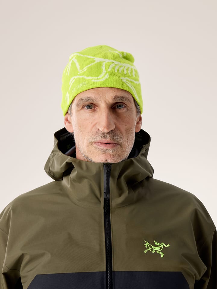 Arc'teryx Bird Head Toque Mantis / Arctic Silk Arc'teryx