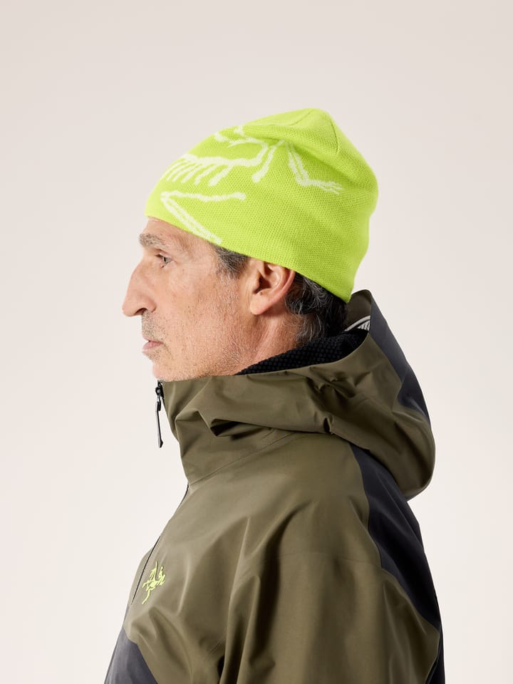 Arc'teryx Bird Head Toque Mantis / Arctic Silk Arc'teryx