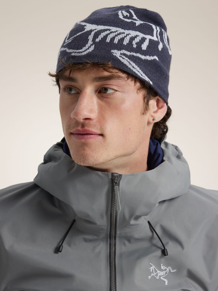 Arc'teryx Bird Head Toque Blk Sapphire / Alpine Arc'teryx