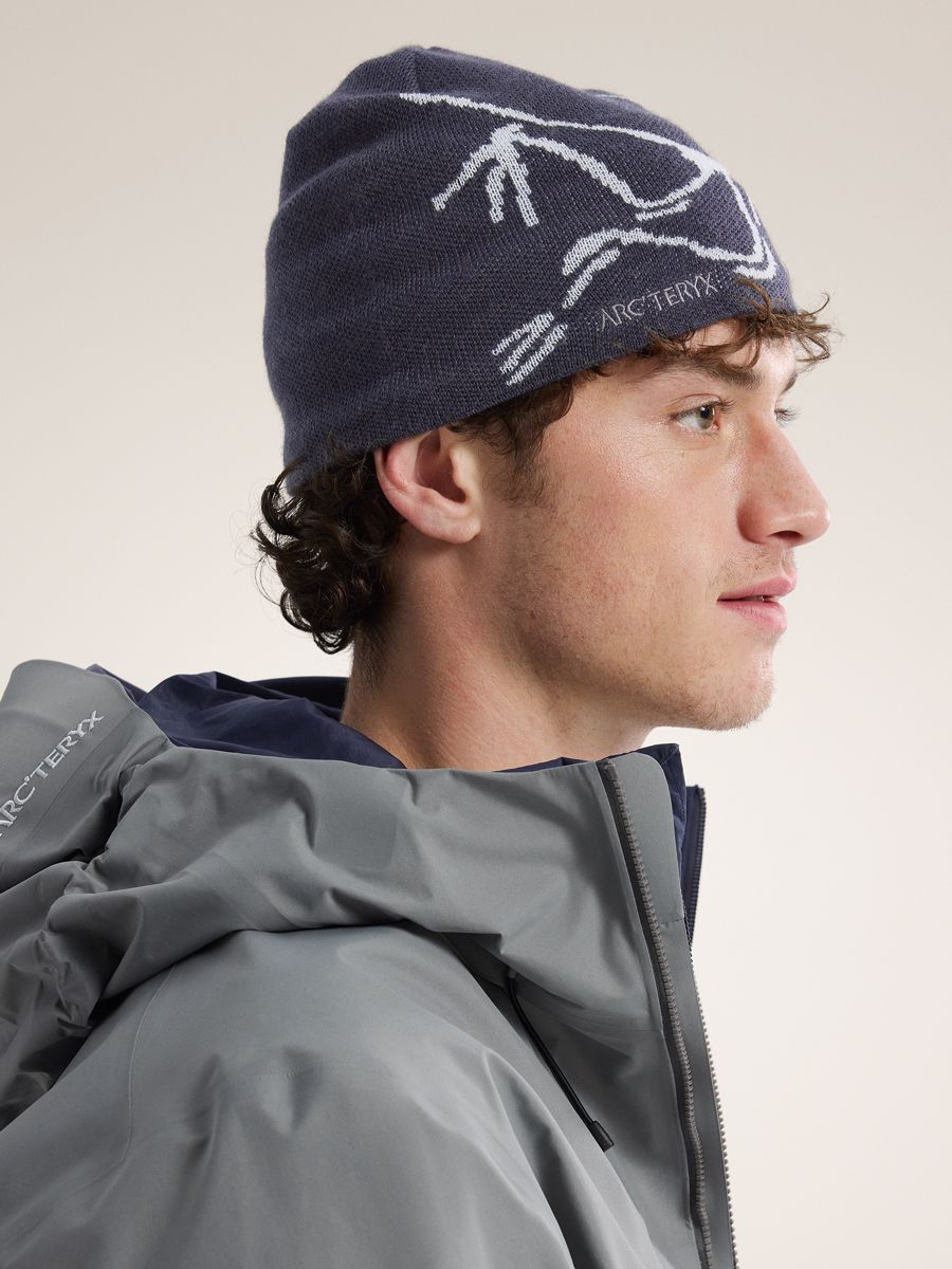 Arc'teryx Bird Head Toque Blk Sapphire / Alpine | Fjellsport.no