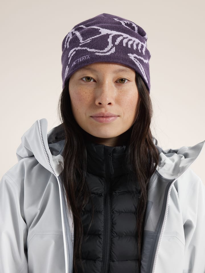 Arc'teryx Bird Head Toque Moondrop / Mallow Arc'teryx