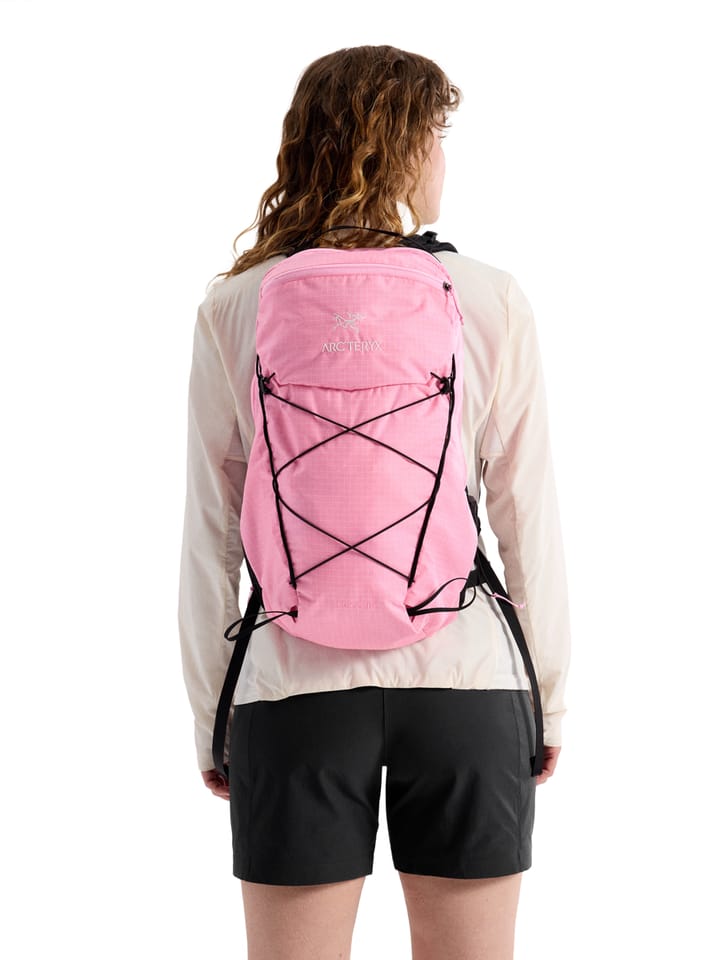 Arc'teryx Aerios 18 Backpack Pineberry Arc'teryx