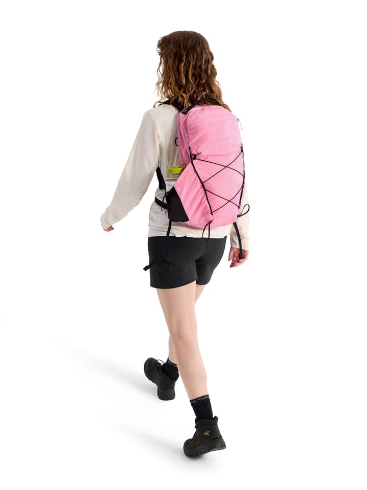 Arc'teryx Aerios 18 Backpack Pineberry Arc'teryx