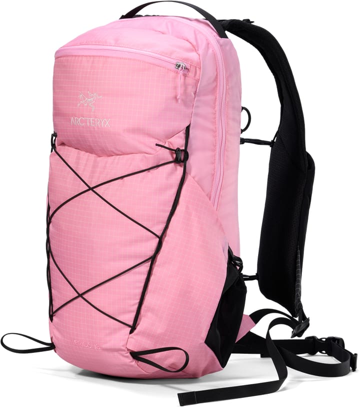 Arc'teryx Aerios 18 Backpack Pineberry Arc'teryx