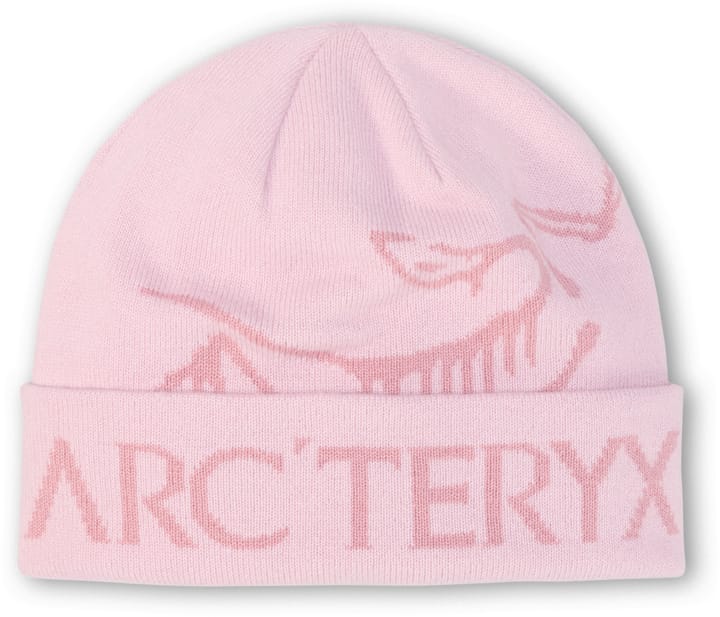 Arc'teryx Men's Bird Word Toque Alpine Rose / Bliss Arc'teryx