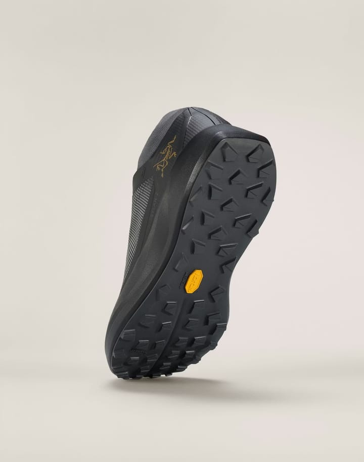 Arc'teryx Women's Sylan 2 Black/black Arc'teryx