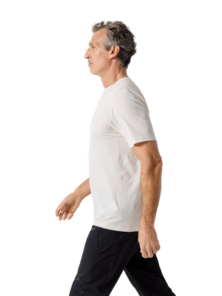 Arc'teryx Cormac Logo Ss M Arctic Silk Arc'teryx