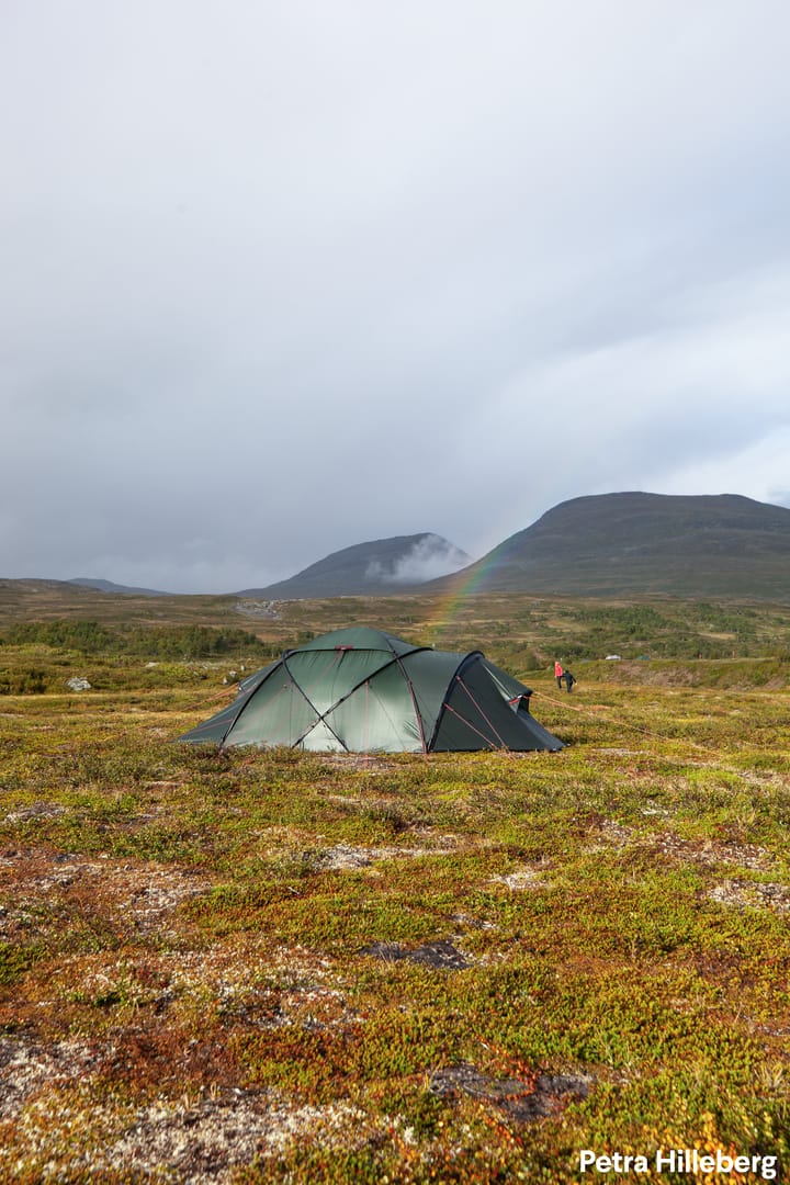 Hilleberg Saivo 4 Green Hilleberg
