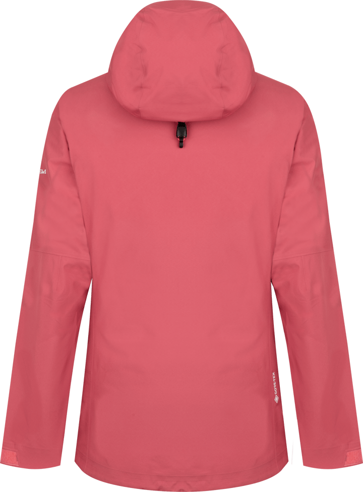 Salewa Women's Puez GORE-TEX PACLITE Jacket Pink Mauvemood Salewa