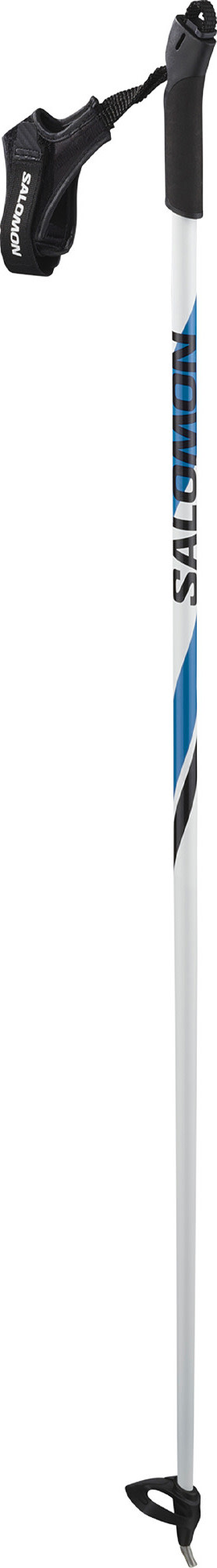 Salomon Juniors' R 20 White Maastohiihtosauvat No specific color 110