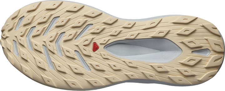 Salomon Men's Glide Max TR Quiet Shade/Pearl Blue/Bleached San Salomon Salomon Men's Glide Max TR Quiet Shade/Pearl Blue/Bleached San Salomon