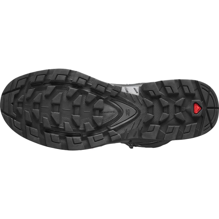 Salomon Men's Quest 4 Gore-Tex Magnet/Black/Quarry Salomon