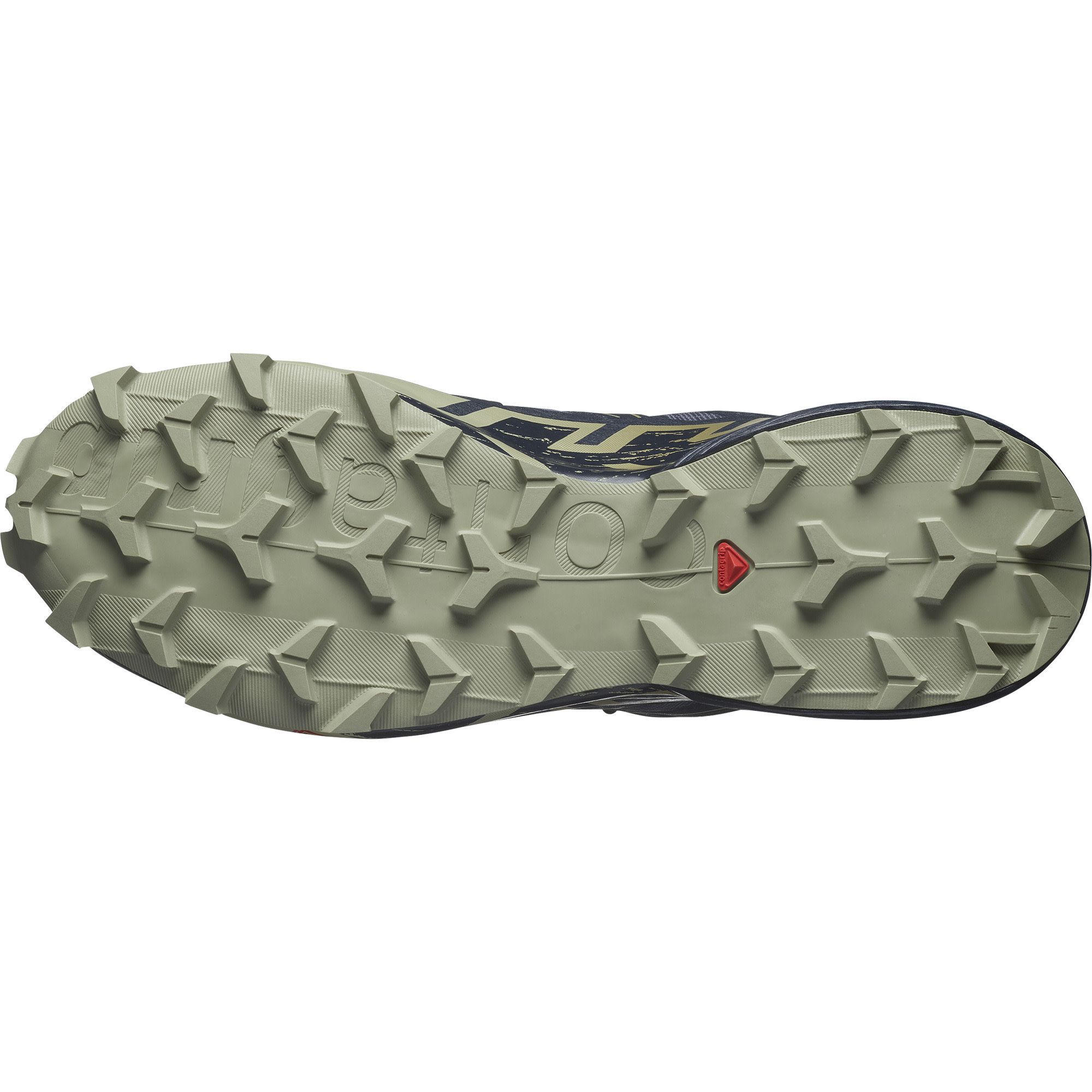 Salomon Men's Speedcross 6 GORE-TEX Grisaille / Carbon / Tea